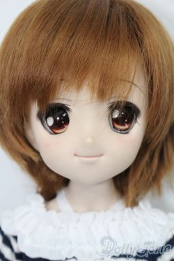 画像1: DD/DDH-04ヘッド+MDDボディ S-25-09-21-251-TO-ZS