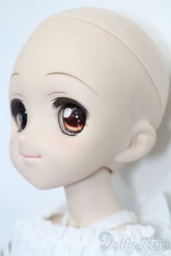 画像3: DD/DDH-04ヘッド+MDDボディ S-25-09-21-251-TO-ZS