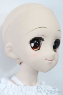 画像4: DD/DDH-04ヘッド+MDDボディ S-25-09-21-251-TO-ZS