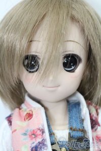 DD/DDH-04ヘッド+MDDボディ S-25-11-23-691-TO-ZS