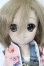 画像1: DD/DDH-04ヘッド+MDDボディ S-25-09-21-205-TO-ZS (1)