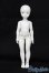 画像2: Lichtner/Rei Full body S-25-08-31-011-TO-ZS (2)