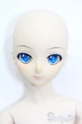 DD/雪ミク S-25-08-31-102-TO-ZS