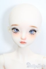 XAGADOLL/?竹フルセット S-25-08-31-104-TO-ZS