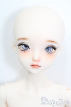 画像1: XAGADOLL/?竹フルセット S-25-08-31-104-TO-ZS