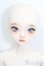 画像1: XAGADOLL/?竹フルセット S-25-08-31-104-TO-ZS (1)