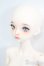 画像2: XAGADOLL/?竹フルセット S-25-08-31-104-TO-ZS (2)