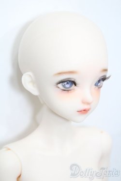 画像3: XAGADOLL/?竹フルセット S-25-11-23-535-TO-ZS