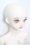 画像3: XAGADOLL/?竹フルセット S-25-08-31-104-TO-ZS