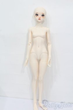 画像4: XAGADOLL/?竹フルセット S-25-11-23-535-TO-ZS