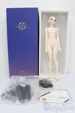 画像6: XAGADOLL/?竹フルセット S-25-11-23-535-TO-ZS