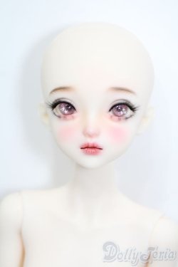 画像1: XAGADOLL/?朱フルセット S-25-08-31-103-TO-ZS