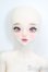 画像1: XAGADOLL/?朱フルセット S-25-08-31-103-TO-ZS (1)