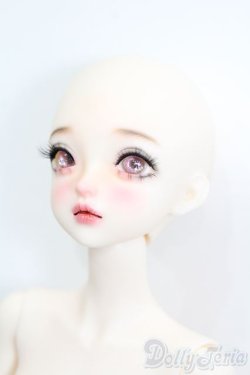 画像2: XAGADOLL/?朱フルセット S-25-08-31-103-TO-ZS