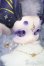 画像3: tutulong S-25-09-14-103-TO-ZS (3)