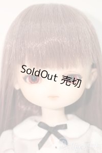 分界線/1/6:カスタムドール S-25-09-07-017-TO-ZS