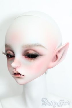 画像2: Peak's Woods/Dandy DOHWA Red Venom S-25-09-07-002-TO-ZS