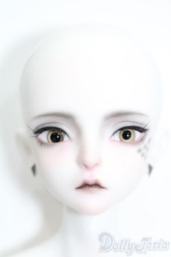 画像1: Dream Valley/Maurren S-25-09-07-001-TO-ZS