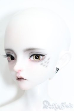 画像2: Dream Valley/Maurren S-25-09-07-001-TO-ZS