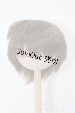 画像1: 7-8inch/ウィッグ S-26-03-22-348-TO-ZS