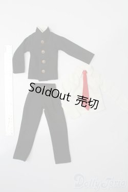 画像2: SDM＆MSD/OF:衣装セット S-25-08-31-244-TO-ZS