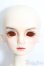 画像1: Charm Doll/Eric S-25-09-07-008-TO-ZS (1)