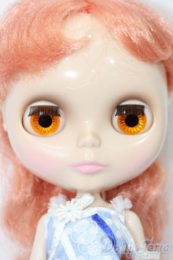 画像1: ネオブライス/本体+衣装 S-25-09-07-025-TO-ZS