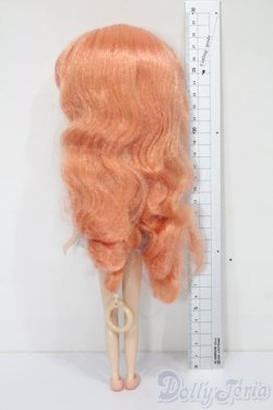 画像6: ネオブライス/本体+衣装 S-25-11-16-355-TO-ZS