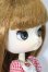 画像3: ダル/ロットちゃん S-25-09-07-021-TO-ZS