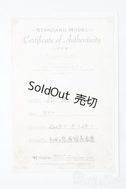 画像9: SD女の子/まい　スタンダードモデル S-25-09-07-103-TO-ZS