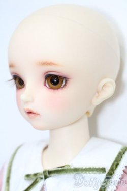 画像3: SDM女の子/F-52　コーディネートモデル S-25-09-07-102-TO-ZS