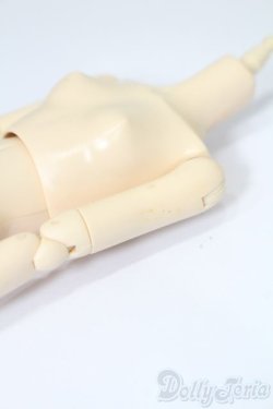画像4: 1/6ドール/ドルフィーアダプション計画 ドルフィープラス S-25-09-07-219-TO-ZS
