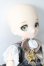 画像4: DOLLCE/ミニスウィーツドール　ローズマリー S-25-09-07-118-TO-ZS