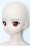 画像4: DD/エステル・フリージア S-25-09-07-101-TO-ZS