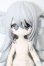 画像1: 一万回の脱出計画BJD/オオカミ 狼 QUIET WILDERNESS S-25-09-07-108-TO-ZS (1)