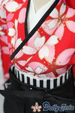 画像4: DD/OF 大正袴set(赤)(M+V Studio様製) S-25-11-23-677-TO-ZS