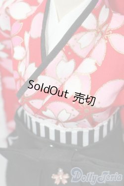 画像4: DD/OF 大正袴set(赤)(M+V Studio様製) S-26-01-04-226-TO-ZS