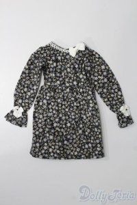 SD/OF:ワンピース S-25-11-23-294-TO-ZS