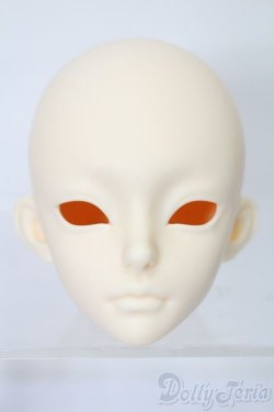 画像2: Coralreefdoll/矢?菊Head+1/4Boy Body S-25-09-14-053-TO-ZS