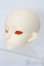 画像3: Coralreefdoll/矢?菊Head+1/4Boy Body S-25-09-14-053-TO-ZS