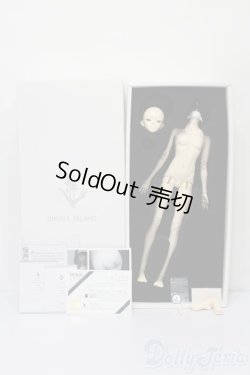 画像6: Coralreefdoll/矢?菊Head+1/4Boy Body S-25-09-14-053-TO-ZS