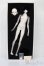 画像1: Coralreefdoll/矢?菊Head+1/4Boy Body S-25-09-14-052-TO-ZS (1)