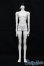 画像4: Coralreefdoll/矢?菊Head+1/4Boy Body S-25-09-14-052-TO-ZS