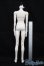 画像5: Coralreefdoll/矢?菊Head+1/4Boy Body S-25-09-14-052-TO-ZS