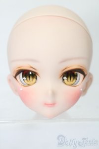 DD/DDH-10:カスタムメイクヘッド S-25-11-02-518-TO-ZS