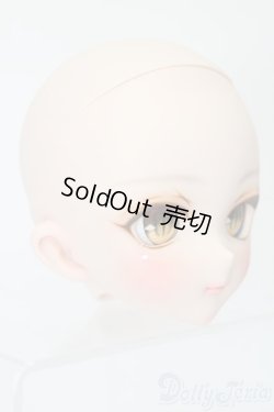 画像3: DD/DDH-10:カスタムメイクヘッド S-25-11-02-518-TO-ZS