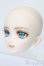 画像2: DD/DDH-07:カスタムヘッド S-25-09-21-072-TO-ZS (2)