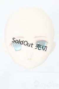 PARABOX/PB-6006Bヘッドのみ S-25-11-30-428-TO-ZS