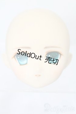 画像1: PARABOX/PB-6006Bヘッドのみ S-25-11-30-428-TO-ZS