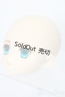 画像2: PARABOX/PB-6006Bヘッドのみ S-25-11-30-428-TO-ZS